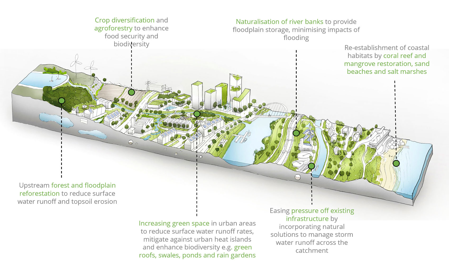graphic about nature based solutions for resilience on infrastructure pathways