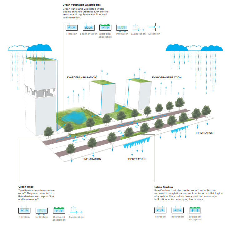 Grafik wie Wasser in der Stadt, zwischen Gebäuden und zwischen Grünflächen gespeichert und geleitet wird