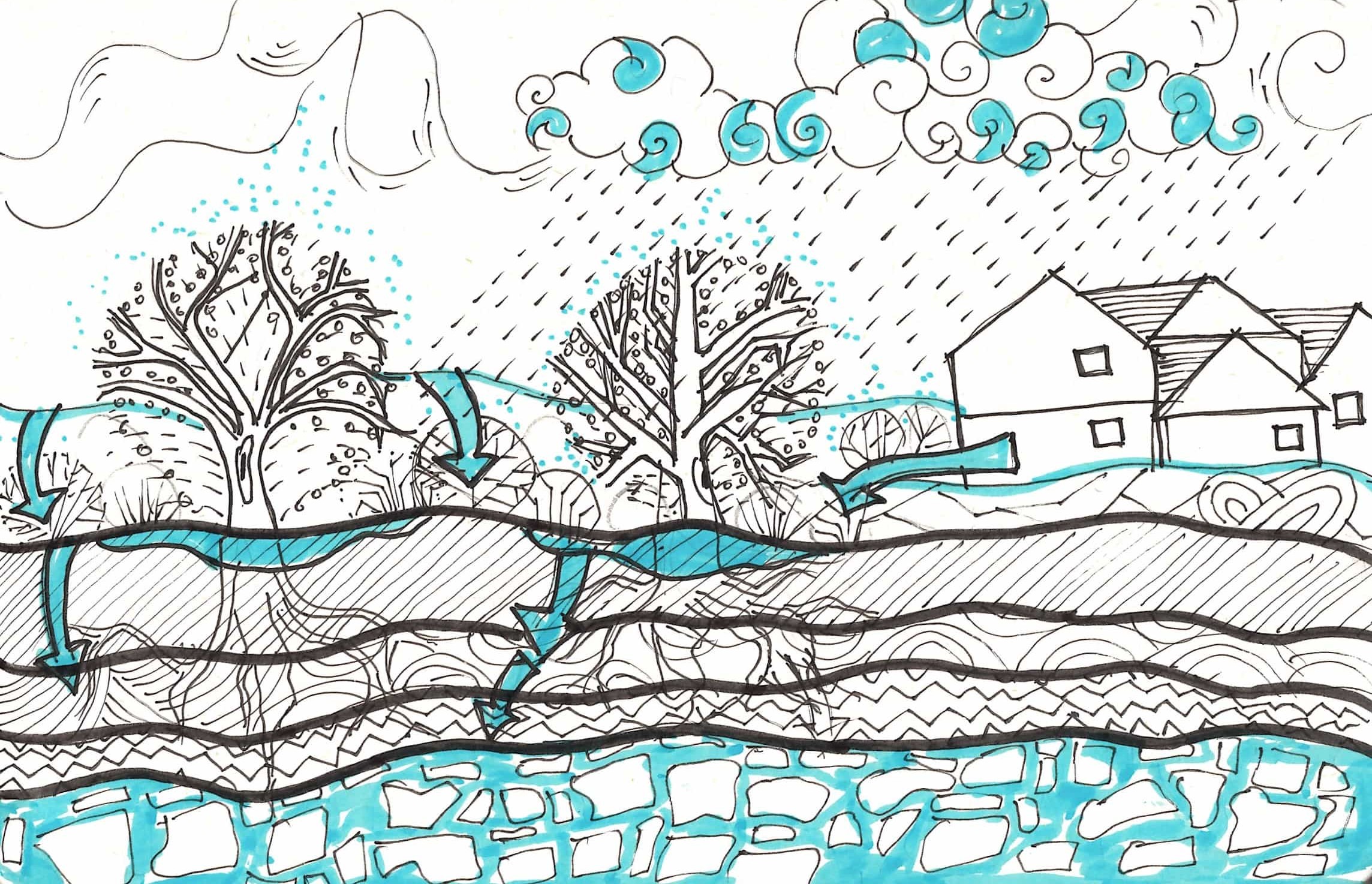 Eine Illustration, die zeigt, wie durchlässige Böden es ermöglichen, dass Regenwasser im Boden versickert