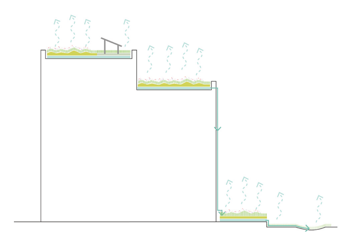 Illustration über die Zirkulation des Wassers in der Atmosphäre von einem Gebäude und der Straße