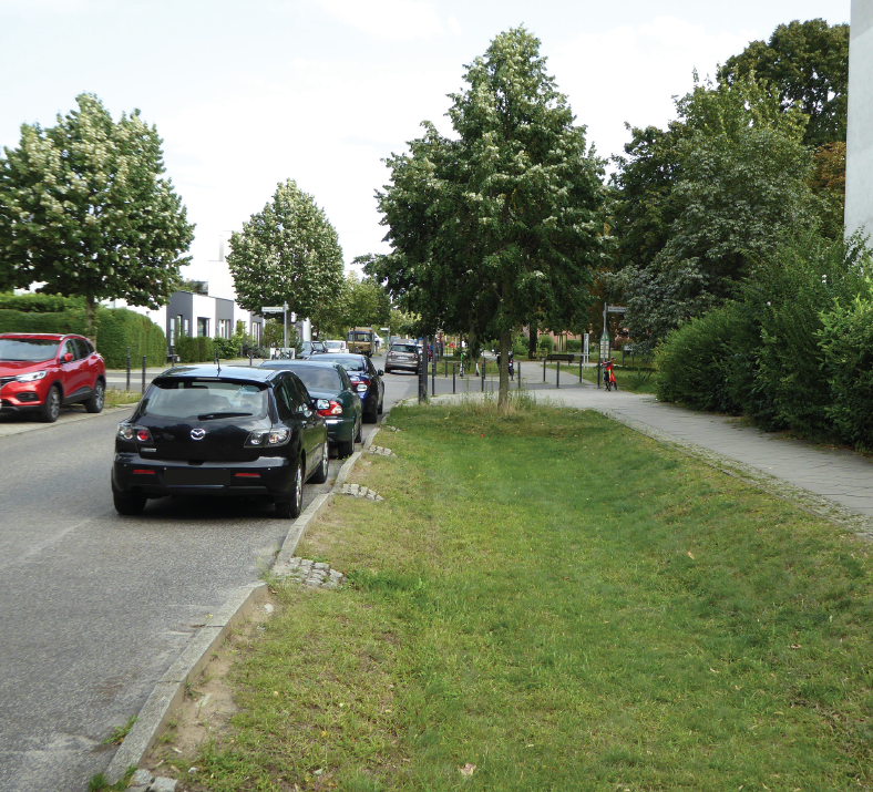 Eine bewachsene Mulde zwischen zwei Straßen. 
