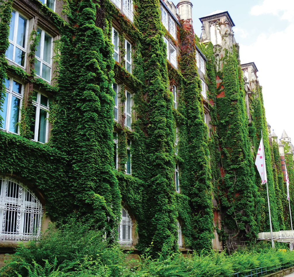 Eine begrünte Fassade auf Häusern nebeneinander 