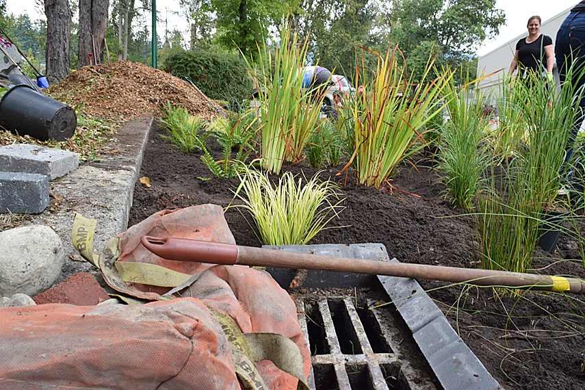 Nahaufnahme eines neu bepflanzten Beetes mit hohem Gras, in der Umgebung liegen Gartenwerkzeuge