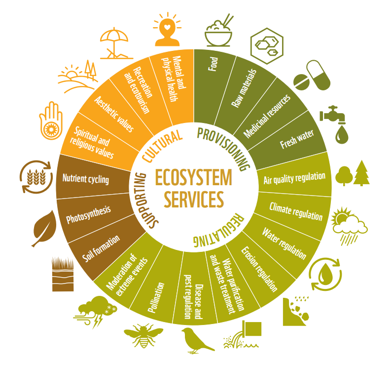 Tortendiagramm der Ökosystemleistung mit Beispielen
