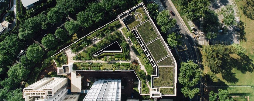 in Vogelperspektive Hochhaus mit extensiver und intensiver Dachbegrünung