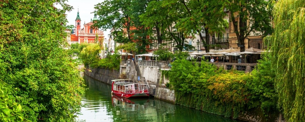 Fluss in einer Stadt von Bäumen umgeben