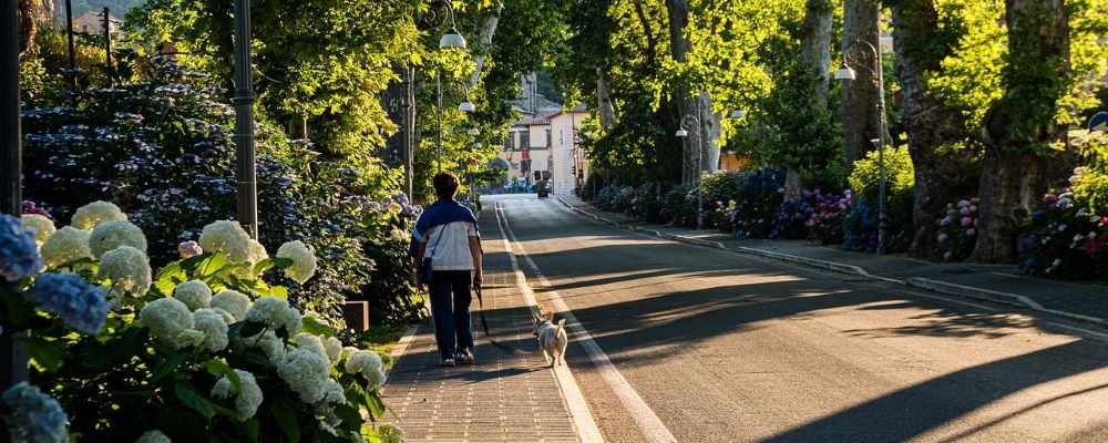 Spazierende Person auf einem Gehweg neben der Straße, umgeben von Bäumen und Pflanzen