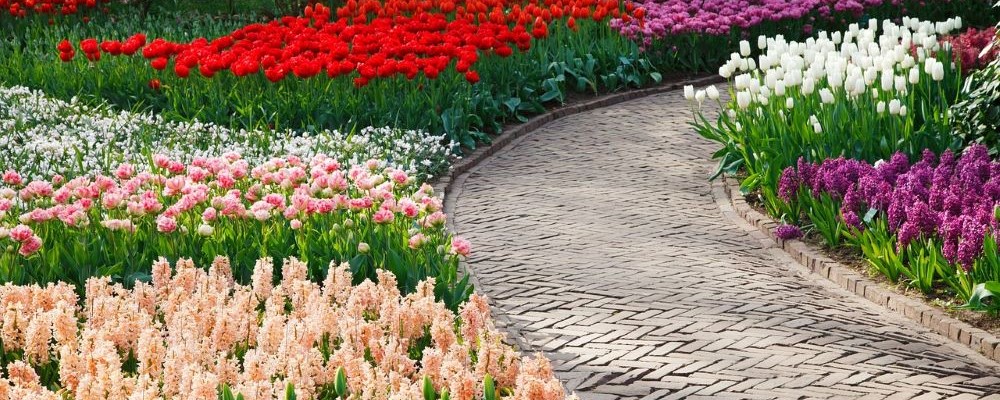 bunt Blühende Blumen in Blumenbeeten von einem Weg durchzogen